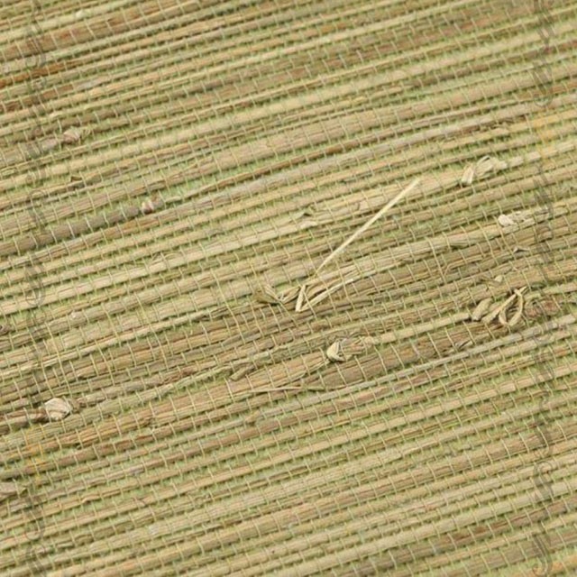 کاغذ دیواری‌های گیاهی: آنچه باید در مورد این کاغذ دیواری طبیعی زیبا بدانید